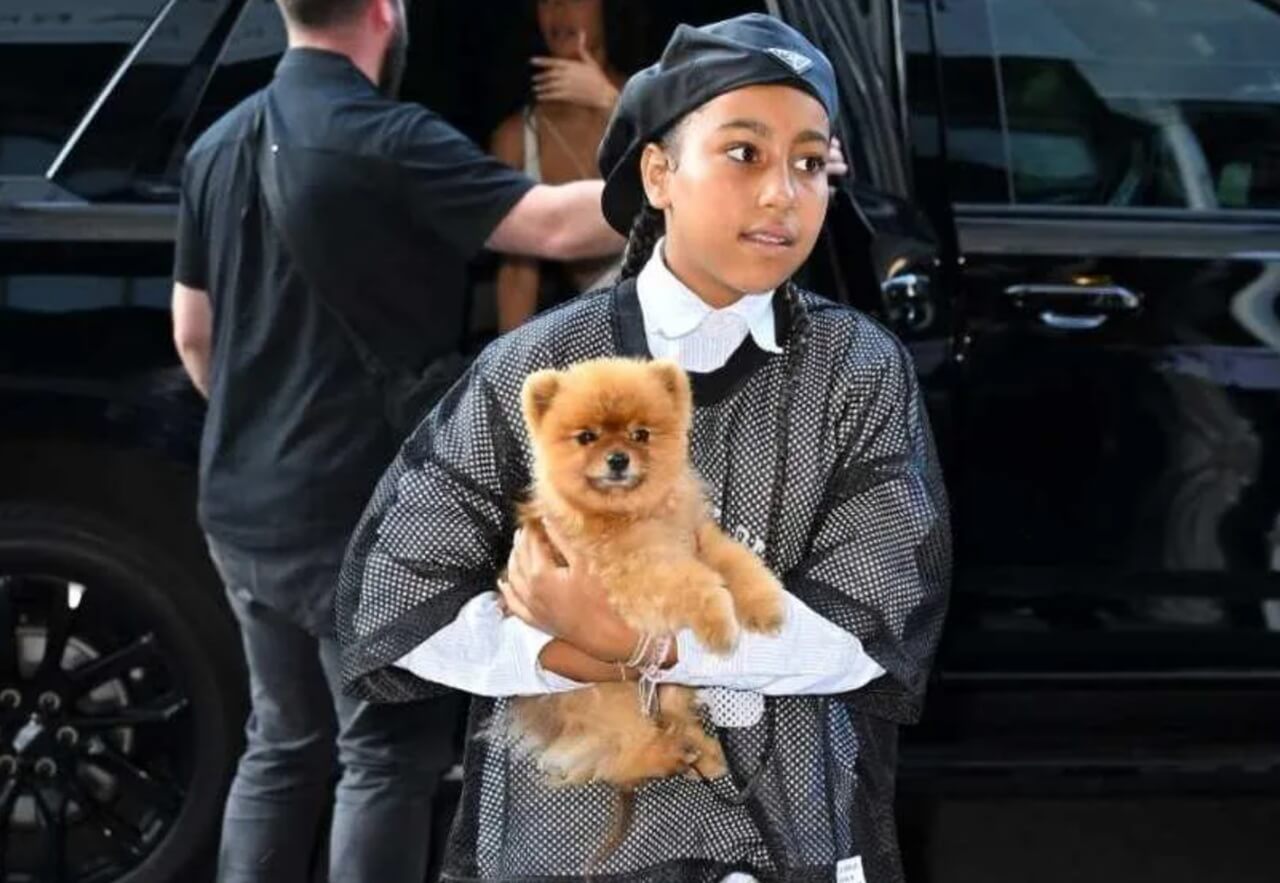 North West shows off diamond grillz with teal hair on Instagram