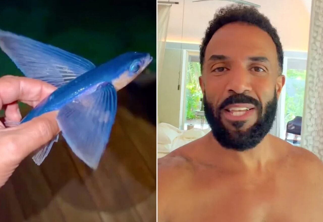 Craig David shares viral video of rescuing a flying fish during vacation.